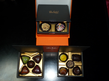 P1040152-1.jpg