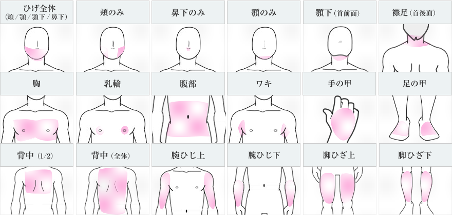 多くの部位のムダ毛を脱毛