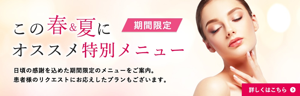 特別メニュープラン