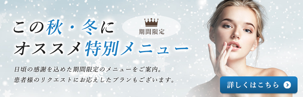 特別メニュープラン