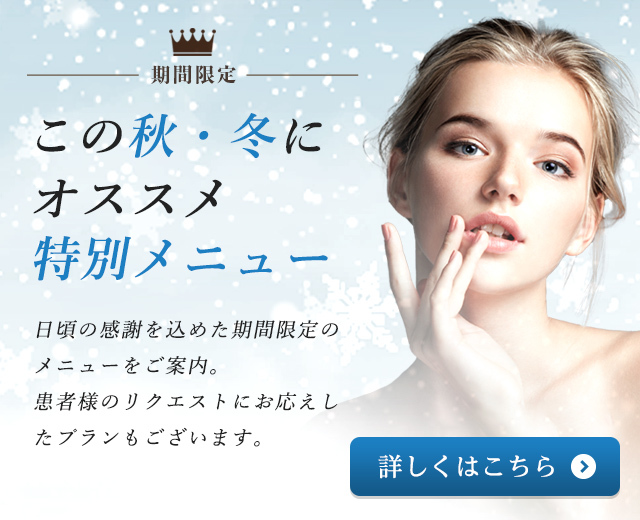 特別メニュープラン