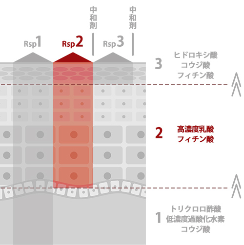 第2工程＜高濃度乳酸ピーリング＞