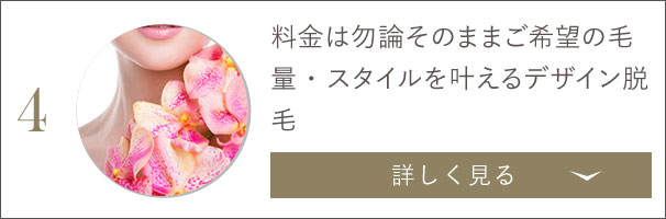 料金は勿論そのままご希望の毛量・スタイルを叶えるデザイン脱毛